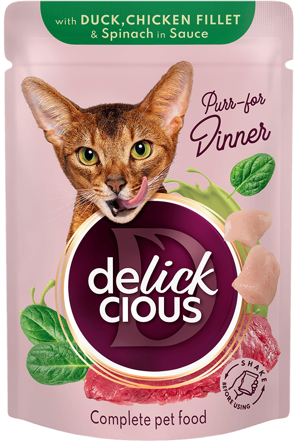 Kawałki z kaczką, filetem z kurczaka i szpinakiem w sosie